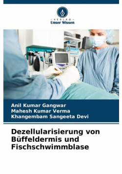 Dezellularisierung von Büffeldermis und Fischschwimmblase