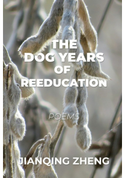 The Dog Years of Reeducation
