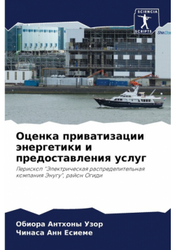 Оценка приватизации энергетики и предоставления услуг