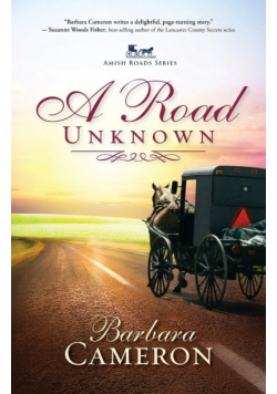 A Road Unknown