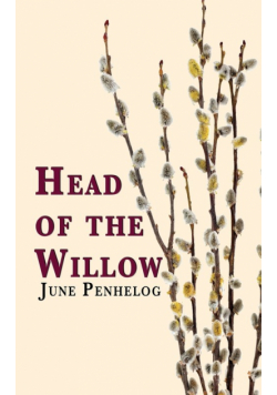 Head of the Willow