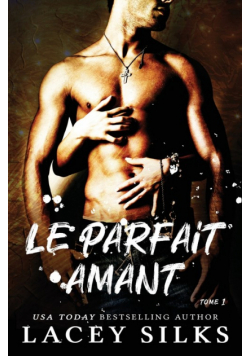 Le parfait amant