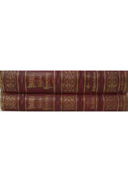 Dante, Alighieri Dante Alighieri's Göttliche Komödie 3 Bände in 2 Bänden