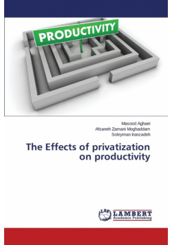 The Effects of Privatization on Productivity
