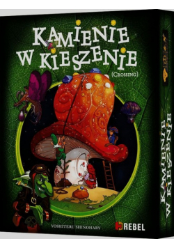 Kamienie w kieszenie