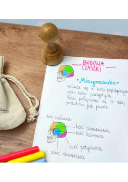 Stempel mózgoczaszka