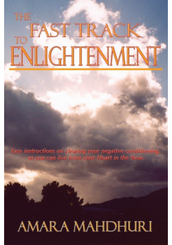 The Fast Track to Enlightenment