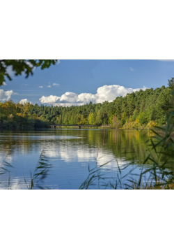 Kalendarz 2015 Konie jesień trójdzielny