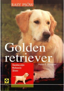 Rasy psów Golden retriever Rasy psów