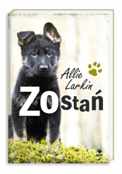 Zostań