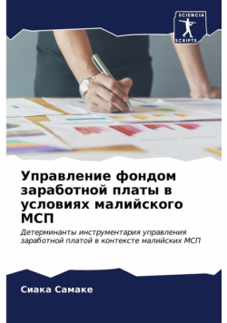 Управление фондом заработной платы в условиях малийского МСП