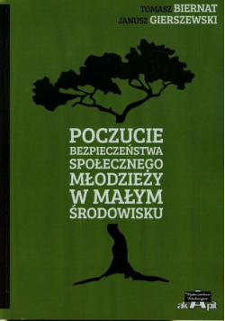Poczucie bezpieczeństwa społecznego młodzieży w małym środowisku