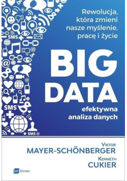 Big data Efektywna analiza danych