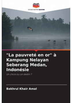 "La pauvreté en or" à Kampung Nelayan Seberang Medan, Indonésie