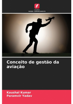 Conceito de gestão da aviação