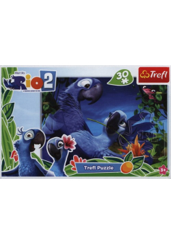 Puzzle Rio 2 30