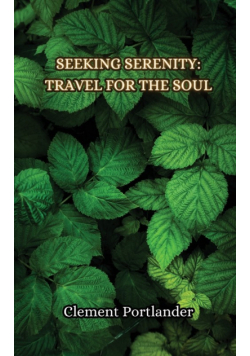 The Transformational Traveler