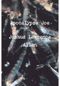 Apocalypse Joe