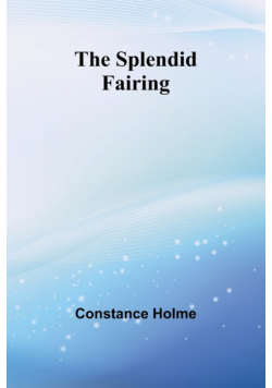The Splendid Fairing