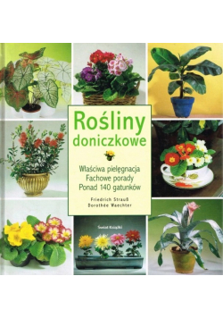 Rośliny doniczkowe
