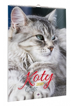 Kalendarz 2019 A3-13 Koty AVANTI