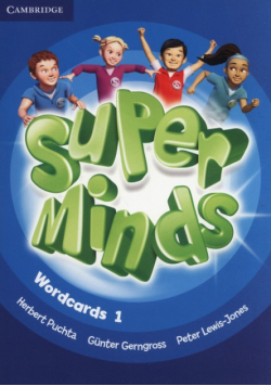 Super Minds Wordcards 1