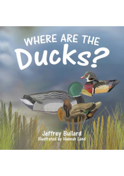 Where Are the Ducks?