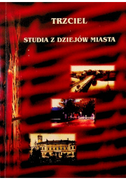 Trzciel Studia Z Dziejów Miasta