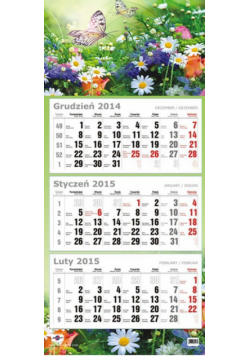 Kalendarz 2015 Trójdzielny Motyle