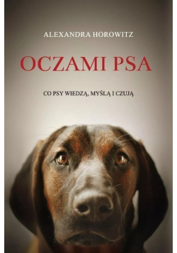 Oczami psa