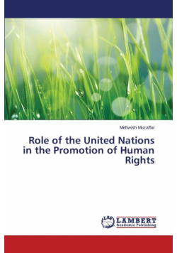Role of the United Nations in the Promotion of Human Rights