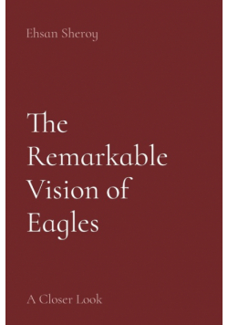 The Remarkable Vision of Eagles