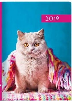 Kalendarz 2019 B7 Kolorowy kot