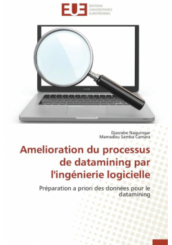 Amelioration du processus de datamining par l'ingénierie logicielle
