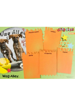 Plan lekcji z magnesem Wag Alley