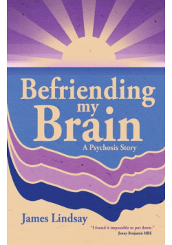 Befriending My Brain