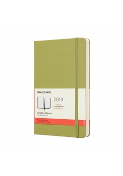 Kalendarz 2019 dzienny 12ML tw. lichen green