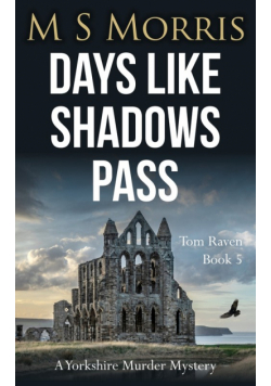 Days Like Shadows Pass