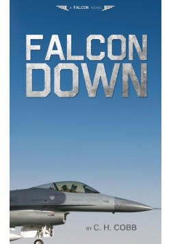 Falcon Down