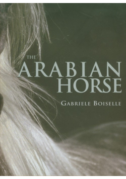 Arabian Horse