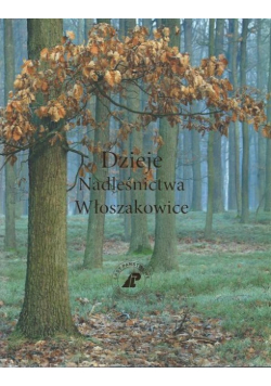Dzieje nadleśnictwa włoszakowice