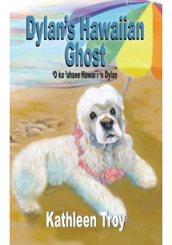 Dylan's Hawaiian Ghost