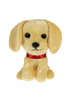 Lumo Golden retriever Molly classic