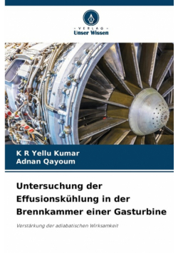 Untersuchung der Effusionskühlung in der Brennkammer einer Gasturbine