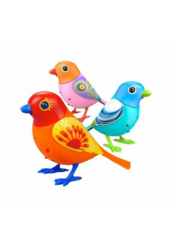 DigiBirds Zestaw Premium Blue/Day/Dizzy