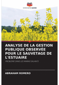 Analyse De La Gestion Publique Observée Pour Le Sauvetage De L'estuaire