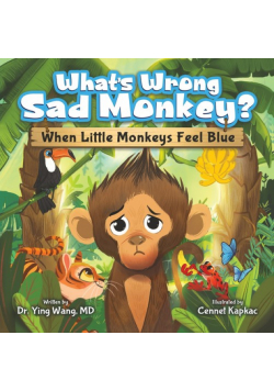 What's Wrong Sad Monkey?