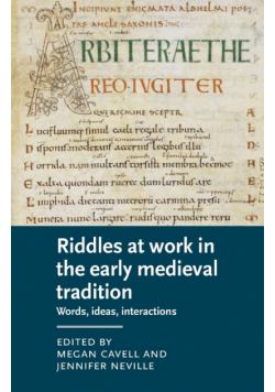 Riddles at work in the early medieval tradition