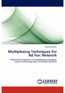 Multiplexing Techniques for Ad Hoc Network