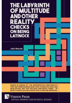 The Labyrinth of Multitude and Other Reality Checks on Being Latino/x